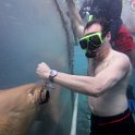 Curacao Dec2018 0064