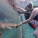 Curacao Dec2018 0066