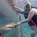 Curacao Dec2018 0068