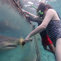 Curacao Dec2018 0069