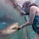 Curacao Dec2018 0072