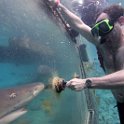 Curacao Dec2018 0073