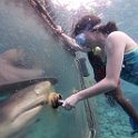 Curacao Dec2018 0075