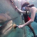 Curacao Dec2018 0076
