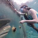 Curacao Dec2018 0077