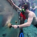 Curacao Dec2018 0080