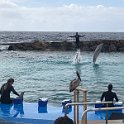 Curacao Dec2018 0083