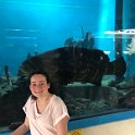 Curacao Dec2018 0084