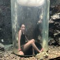 Curacao Dec2018 0087