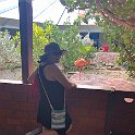 Curacao Dec2018 0088