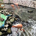 Curacao Dec2018 0089
