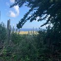 Curacao Dec2018 0255