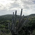 Curacao Dec2018 0257