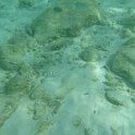 Curacao Dec2018 0293