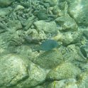 Curacao Dec2018 0294
