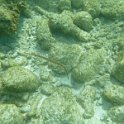 Curacao Dec2018 0295