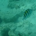 Curacao Dec2018 0296