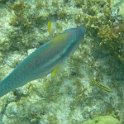Curacao Dec2018 0299