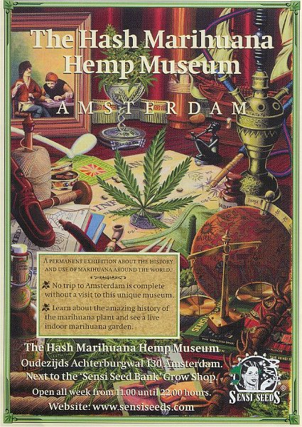 amsterdam museum