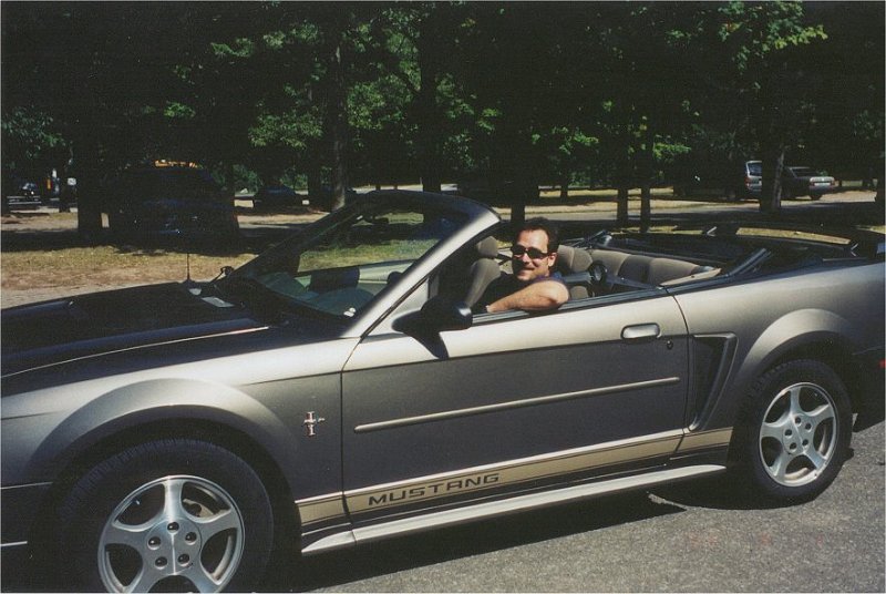 niagara darryl mustang