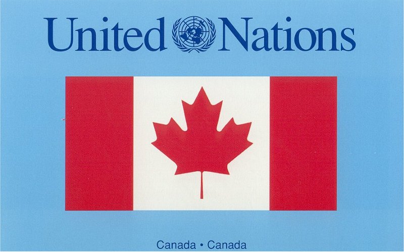 newyork un flag