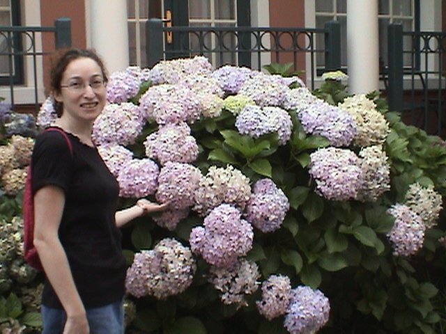 joburg lisa westcliff d