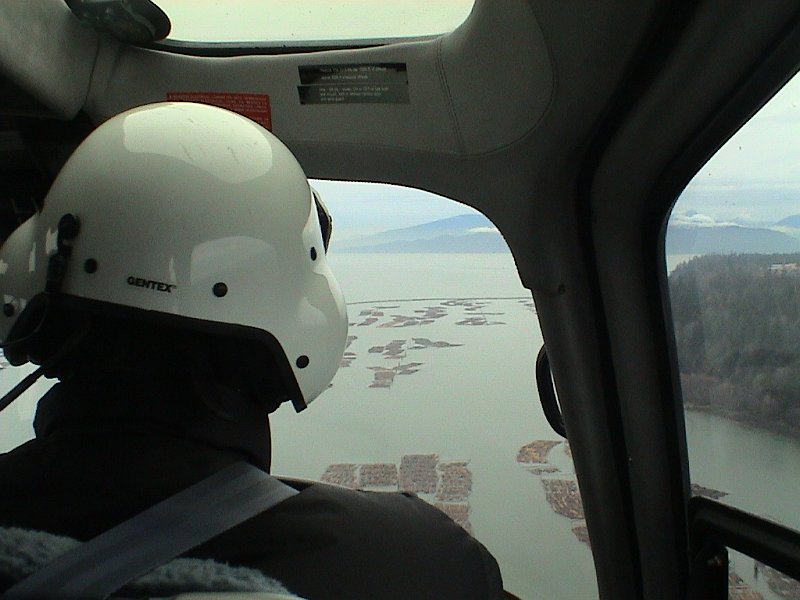 whistler helicopter 0003