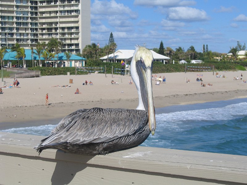 florida 2005 0020