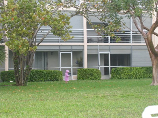 baby49 0146