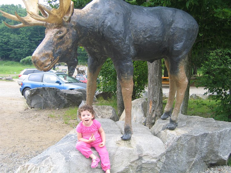 baby55 0156