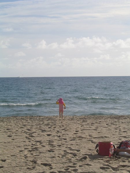 florida 2008 0002