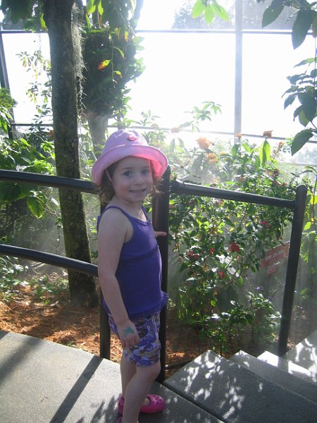 florida 2008 0019