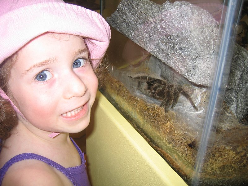 florida 2008 0026