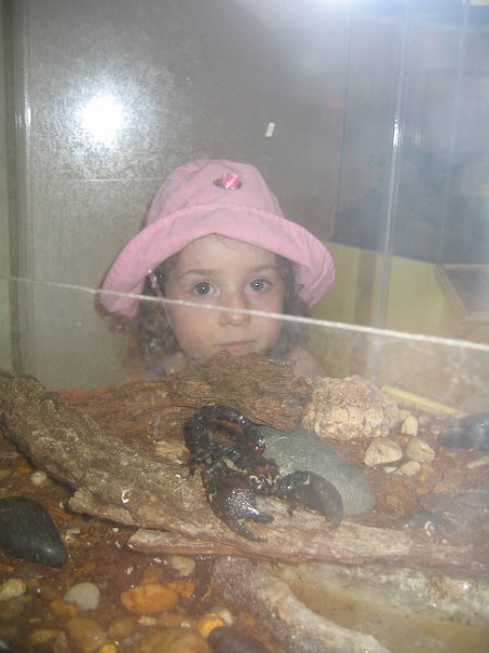 florida 2008 0028