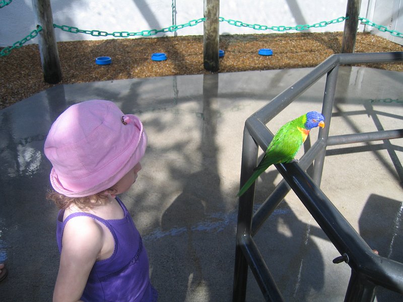 florida 2008 0033