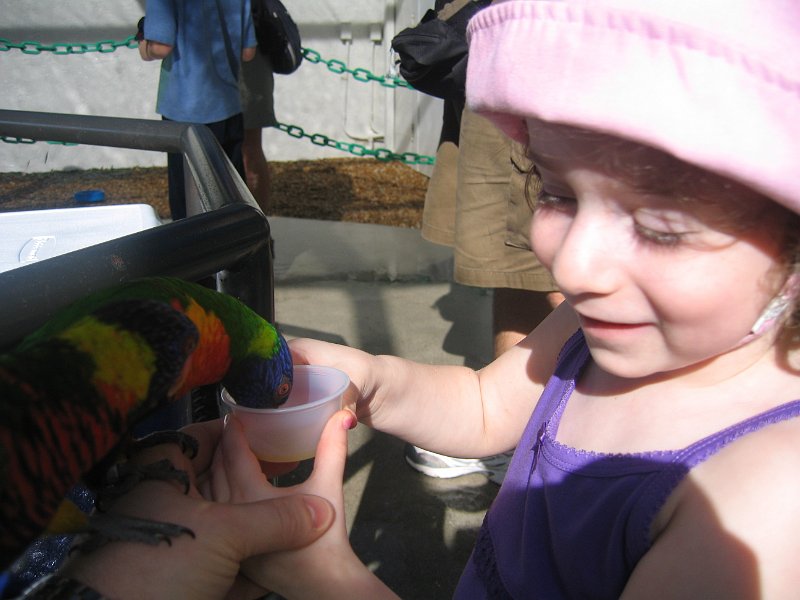florida 2008 0034