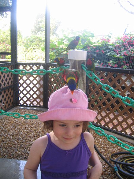 florida 2008 0037