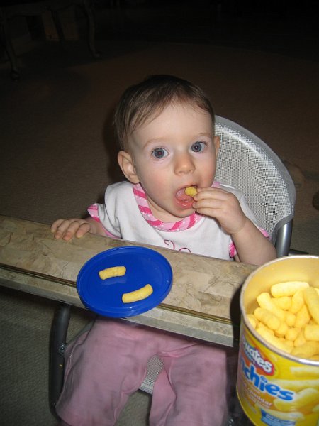 florida 2008 0042