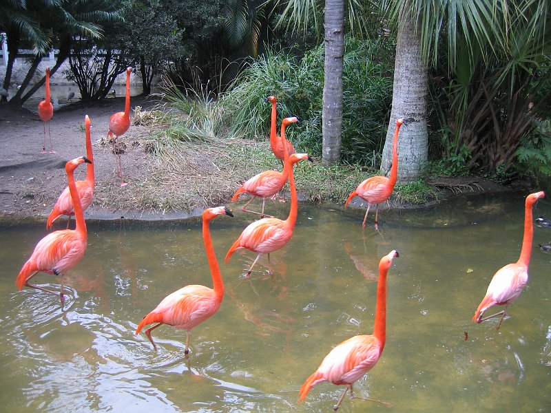 florida 2008 0061