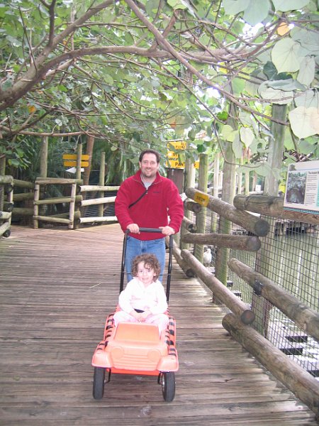 florida 2008 0069