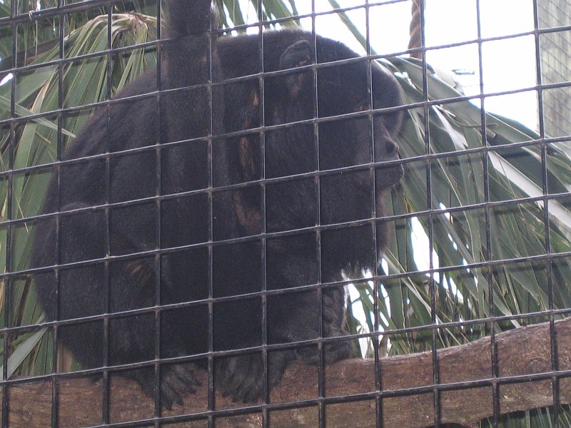 florida 2008 0087