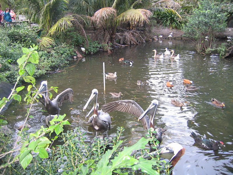 florida 2008 0096
