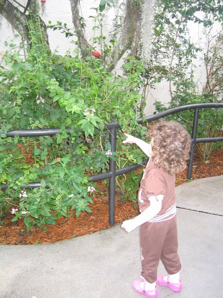 florida 2008 0107