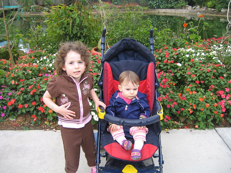 florida 2008 0113
