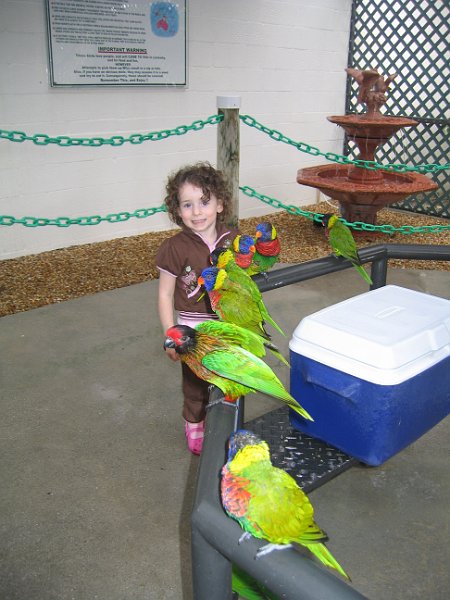 florida 2008 0117