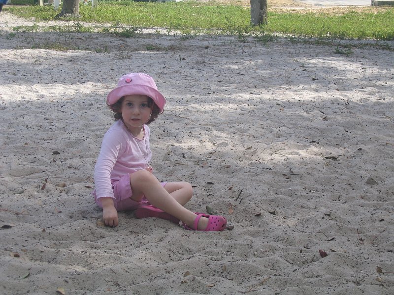 florida 2008 0170