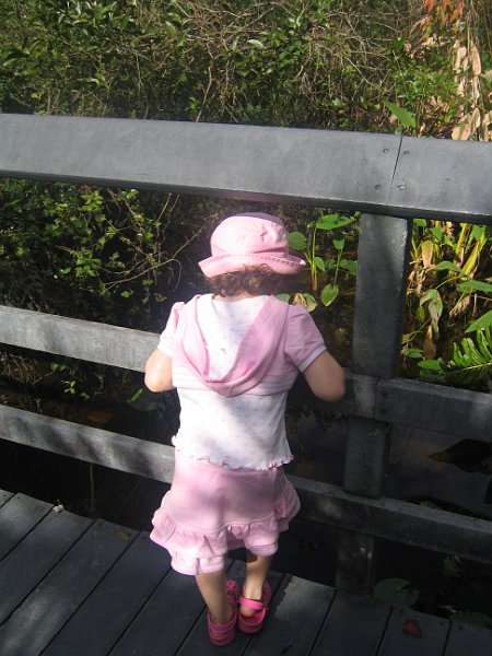 florida 2008 0182