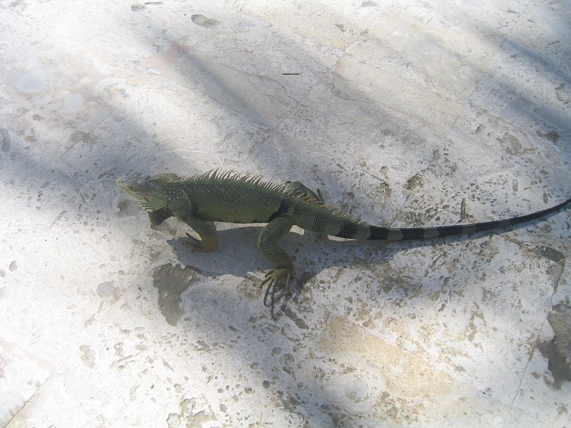 florida 2008 0229