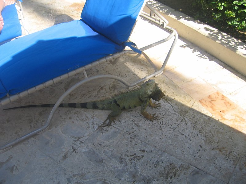 florida 2008 0230