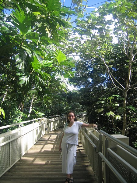 florida 2008 0253